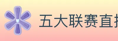五大联赛直播 logo